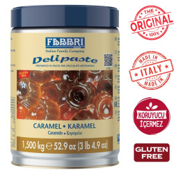 Fabbri Delipaste Dondurma Konsantresi Karamel Aromalı 