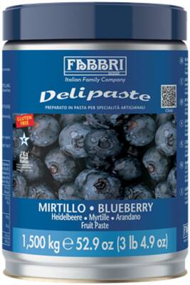 Fabbri Delipaste Dondurma Konsantresi Yaban Mersini Aromalı - 2