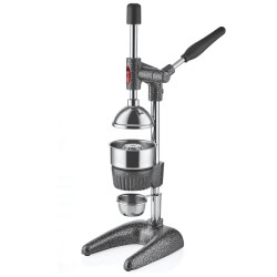 Kollu Meyve Presi - PİOS