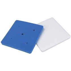 ŞEKER HAMURU SÜNGERİ - 