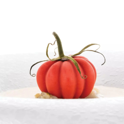 Silikomart Silikon Pasta & Kek Kalıbı Pomodoro 24 Domates - 5