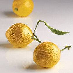 Pavoni Silikon Pasta ve Kek Kalıbı AF006 Citron Limon 