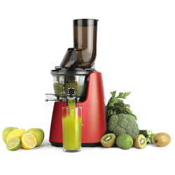 Slow Juicer Meyve ve Sebze Sıkacağı - 2