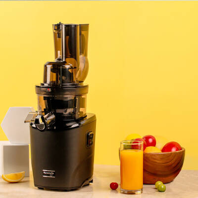 Slow Juicer Meyve ve Sebze Sıkacağı - 2