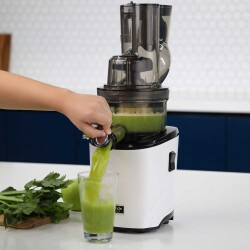 Slow Juicer Meyve ve Sebze Sıkacağı - 1