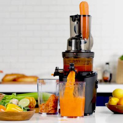 Slow Juicer Meyve ve Sebze Sıkacağı - 5